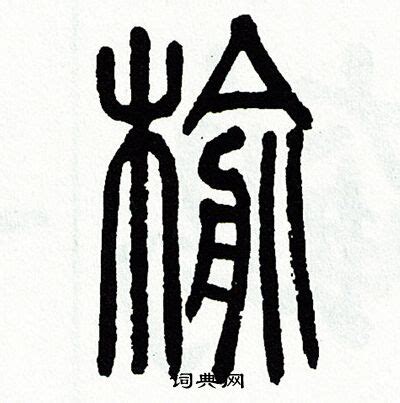 榆 意思|榆的意思，榆字的意思